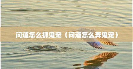 问道怎么抓鬼宠（问道怎么弄鬼宠）