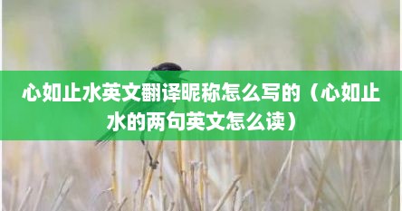 心如止水英文翻译昵称怎么写的（心如止水的两句英文怎么读）