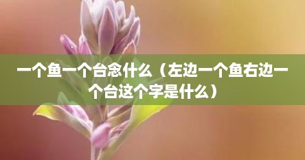 一个鱼一个台念什么（左边一个鱼右边一个台这个字是什么）
