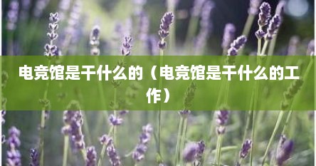 电竞馆是干什么的（电竞馆是干什么的工作）