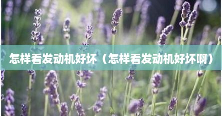 怎样看发动机好坏（怎样看发动机好坏啊）