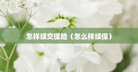 怎样续交保险（怎么样续保）