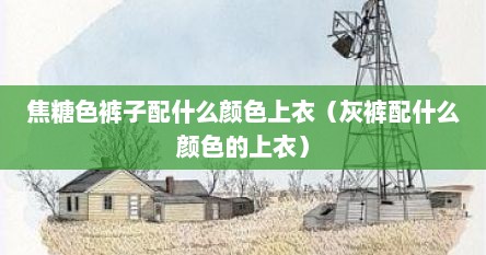 焦糖色裤子配什么颜色上衣（灰裤配什么颜色的上衣）