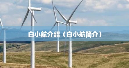 白小航介绍（白小航简介）