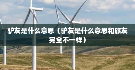 驴友是什么意思（驴友是什么意思和旅友完全不一样）