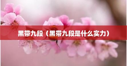 黑带九段（黑带九段是什么实力）