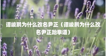 谭峻鹏为什么改名尹正（谭峻鹏为什么改名尹正跆拳道）