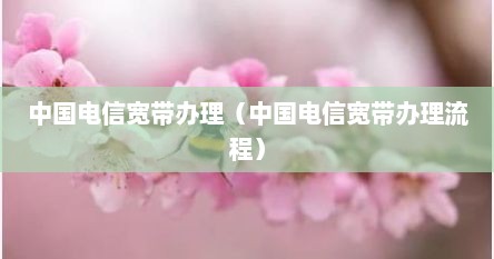 中国电信宽带办理（中国电信宽带办理流程）