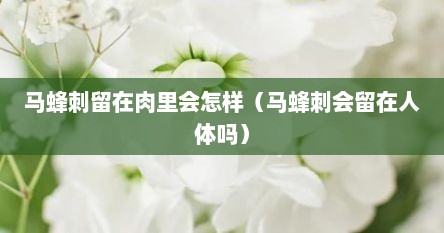 马蜂刺留在肉里会怎样（马蜂刺会留在人体吗）
