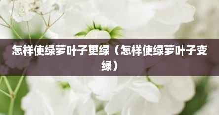 怎样使绿萝叶子更绿（怎样使绿萝叶子变绿）