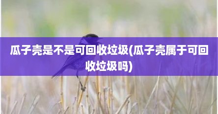 瓜子壳是不是可回收垃圾(瓜子壳属于可回收垃圾吗)