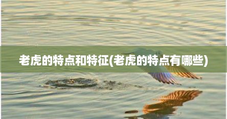 老虎的特点和特征(老虎的特点有哪些)