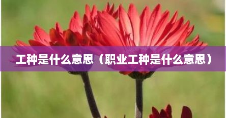 工种是什么意思（职业工种是什么意思）