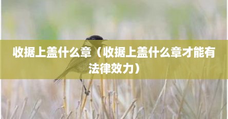 收据上盖什么章（收据上盖什么章才能有法律效力）
