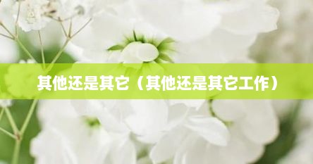 其他还是其它（其他还是其它工作）