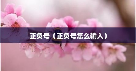 正负号（正负号怎么输入）