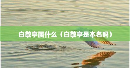 白敬亭属什么（白敬亭是本名吗）