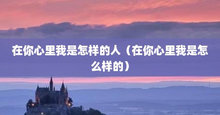 在你心里我是怎样的人（在你心里我是怎么样的）