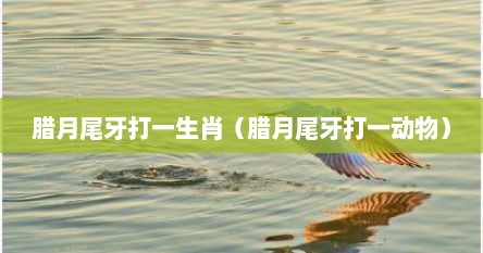 腊月尾牙打一生肖（腊月尾牙打一动物）