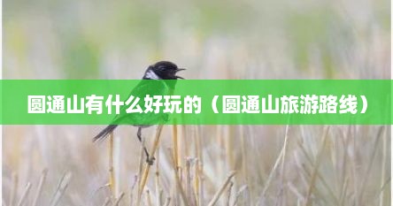 圆通山有什么好玩的（圆通山旅游路线）