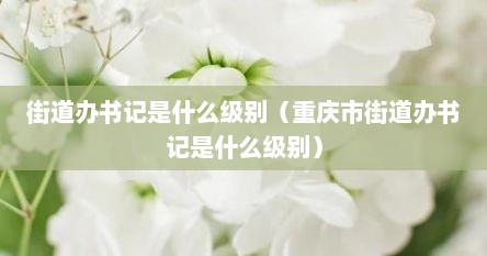 街道办书记是什么级别（重庆市街道办书记是什么级别）