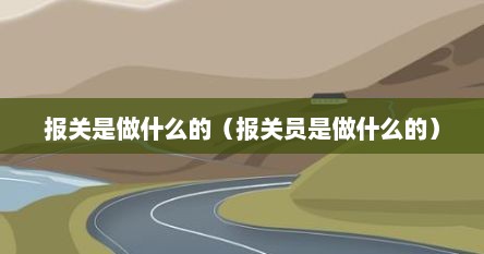 报关是做什么的（报关员是做什么的）