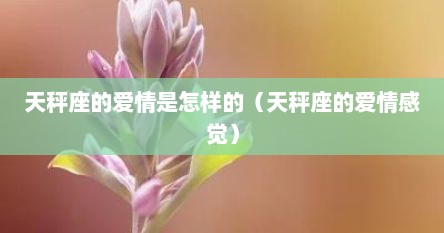 天秤座的爱情是怎样的（天秤座的爱情感觉）