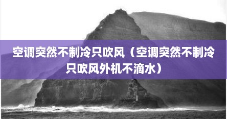 空调突然不制冷只吹风（空调突然不制冷只吹风外机不滴水）