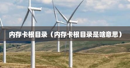 内存卡根目录（内存卡根目录是啥意思）