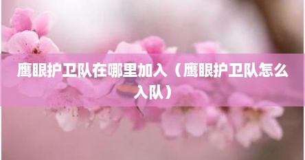 鹰眼护卫队在哪里加入（鹰眼护卫队在哪里申请加入）