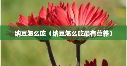 纳豆怎么吃（纳豆怎么吃最有营养）