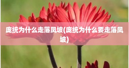 庞统为什么走落凤坡(庞统为什么要走落凤坡)