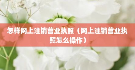 怎样网上注销营业执照（网上注销营业执照怎么操作）