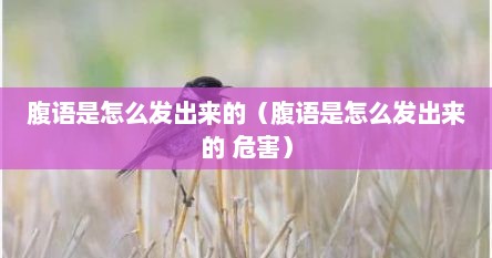腹语到底是用什么发声呢（腹语是怎么回事 腹语技巧分享）