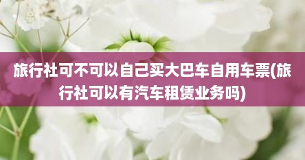 旅行社可不可以自己买大巴车自用车票(旅行社可以有汽车租赁业务吗)
