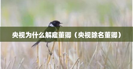 央视为什么解雇董卿(央视除名董卿)