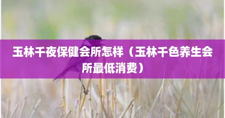 玉林千夜保健会所怎样（玉林千色养生会所最低消费）