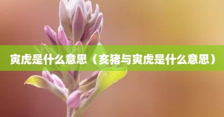 寅虎是什么意思（亥猪与寅虎是什么意思）
