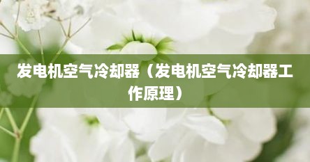 发电机空气冷去器（发电机空气冷去器工作原理）