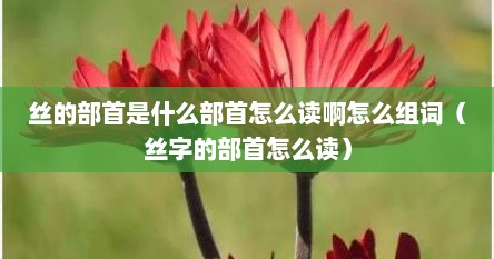 丝的部首是什么部首怎么读啊怎么组词（丝字的部首怎么读）