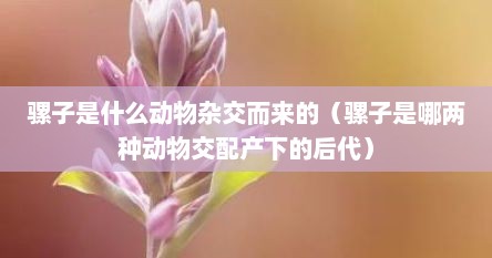 骡子是什么动物杂交而来的（骡子是哪两种动物交配产下的后代）
