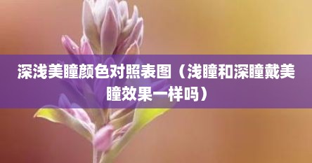 深浅美瞳颜色对照表图（浅瞳和深瞳戴美瞳效果一样吗）