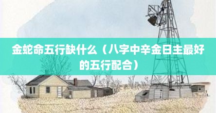 金蛇命五行缺什么（八字中辛金日主最好的五行配合）