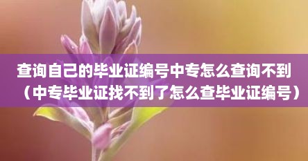 查询自己的毕业证编号中专怎么查询不到（中专毕业证找不到了怎么查毕业证编号）