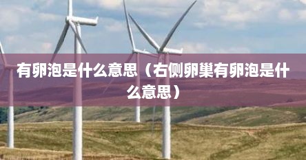 有卵泡是什么意思（右侧卵巢有卵泡是什么意思）