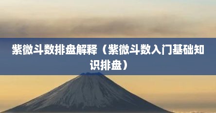紫微斗数排盘解释（紫微斗数入门基础知识排盘）