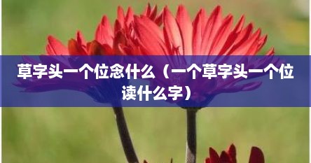 草字头一个位念什么（一个草字头一个位读什么字）