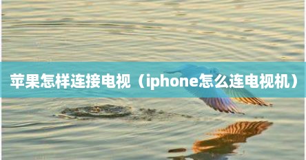 苹果怎样连接电视（iphone怎么连电视机）