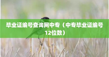 毕业证编号查询网中专（中专毕业证编号12位数）