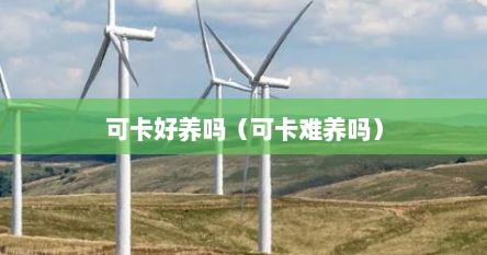 可卡好养吗（可卡难养吗）